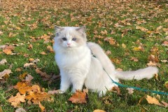 melina-IMG_7400-1